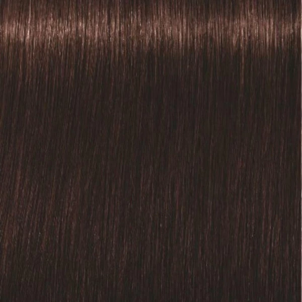 Schwarzkopf Coloration Igora Royal 3-68 Châtain Foncé Marron Rouge 60ML – Image 2